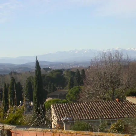 L'agapanthe Conques-sur-Orbiel