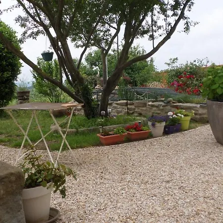 L'agapanthe Couette-café Conques-sur-Orbiel