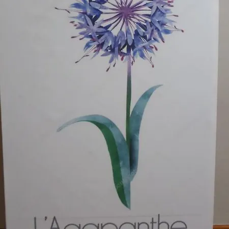 L'agapanthe * Conques-sur-Orbiel